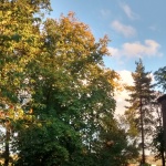 Autumn in Scotland