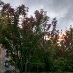 Autumn in Scotland